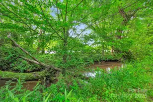 26 Bonnies Cove Trail, Mills River, NC 28759 - Photo 41