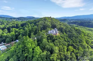 26 Bonnies Cove Trail, Mills River, NC 28759 - Photo 45