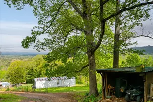25 Coal Creek Ln, Weaverville, NC 28787 - Photo 19