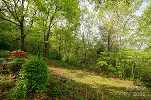 25 Coal Creek Ln, Weaverville, NC 28787 - Photo 21