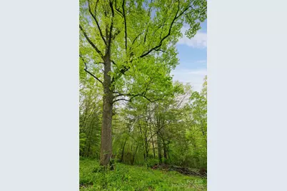 25 Coal Creek Lane, Weaverville, NC 28787 - Photo 5