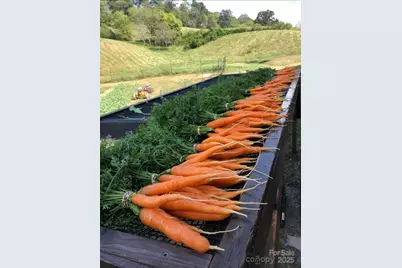 17 French Broad River Way #98, Asheville, NC 28804 - Photo 11