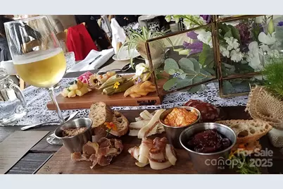 17 French Broad River Way #98, Asheville, NC 28804 - Photo 7