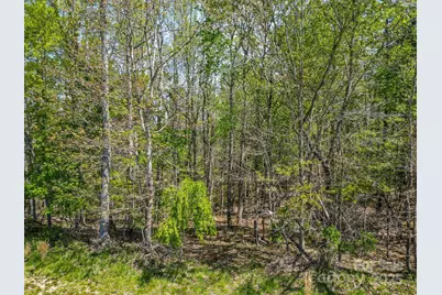 17 French Broad River Way #98, Asheville, NC 28804 - Photo 3