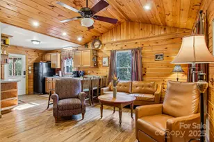 33 Shepherds Creek Rd, Bryson City, NC 28713 - Photo 13