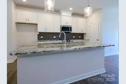 1112 Bismuth Lane, Charlotte, NC 28211 - Photo 15