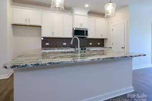 1112 Bismuth Ln, Charlotte, NC 28211 - Photo 15