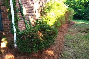 8835 Hunter Ridge Dr, Charlotte, NC 28226 - Photo 35