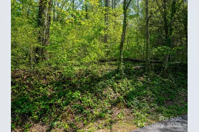 147 Sidney Lanier Drive, Lake Lure, NC 28746 - Photo 19