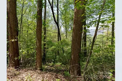 147 Sidney Lanier Drive, Lake Lure, NC 28746 - Photo 9