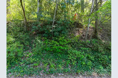 147 Sidney Lanier Drive, Lake Lure, NC 28746 - Photo 23