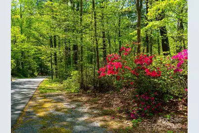 147 Sidney Lanier Drive, Lake Lure, NC 28746 - Photo 7