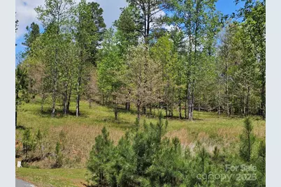 2109 Inlet Shore Road NE, Connelly Springs, NC 28612 - Photo 3