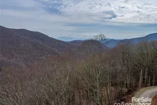 00 Puncheon Ln, Mars Hill, NC 28754 - Photo 3