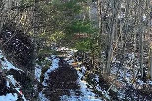 00 Puncheon Ln, Mars Hill, NC 28754 - Photo 7