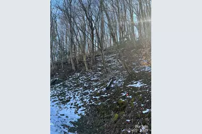 00 Puncheon Lane #149, Mars Hill, NC 28754 - Photo 5