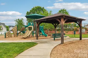 217 Almora Loop, Mooresville, NC 28115 - Photo 39