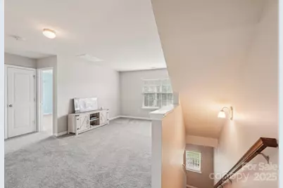 217 Almora Loop, Mooresville, NC 28115 - Photo 21