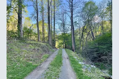 784 Fred Holcombe Road, Mars Hill, NC 28754 - Photo 33