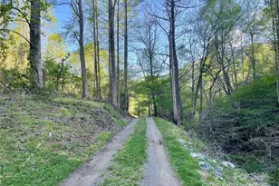 784 Fred Holcombe Rd, Mars Hill, NC 28754 - Photo 33