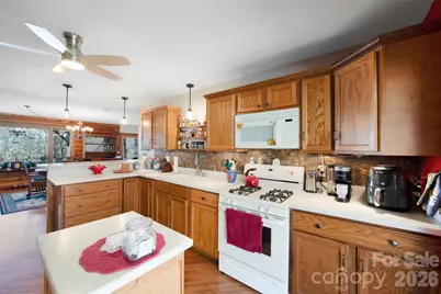 150 Sorghum Drive, Waynesville, NC 28785 - Photo 15