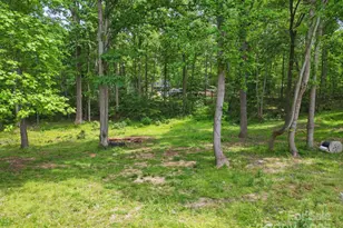 10420 Silver Mine Rd, Indian Land, SC 29707 - Photo 19