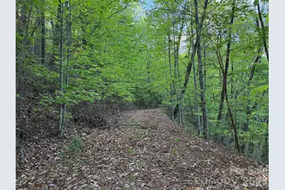 Tbd Wolf Pen Road #27, Purlear, NC 28665 - Photo 7