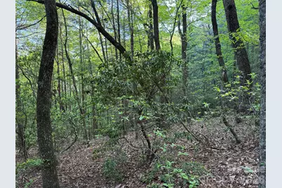 Tbd Wolf Pen Road #27, Purlear, NC 28665 - Photo 19