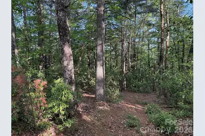 Tbd Wolf Pen Road #27, Purlear, NC 28665 - Photo 3