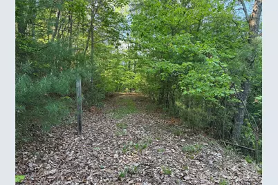 Tbd Wolf Pen Road #27, Purlear, NC 28665 - Photo 5