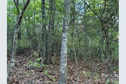 Tbd Wolf Pen Road #27, Purlear, NC 28665 - Photo 9