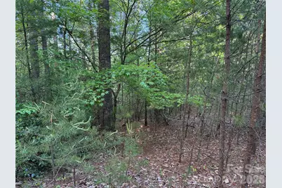 Tbd Wolf Pen Road #27, Purlear, NC 28665 - Photo 15