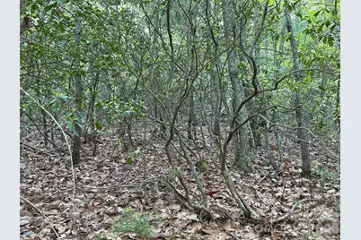 Tbd Wolf Pen Road #27, Purlear, NC 28665 - Photo 13