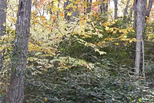 Tbd Clear Creek Rd, Burnsville, NC 28714 - Photo 3