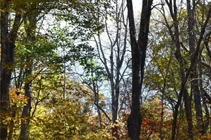 Tbd Clear Creek Rd, Burnsville, NC 28714 - Photo 5