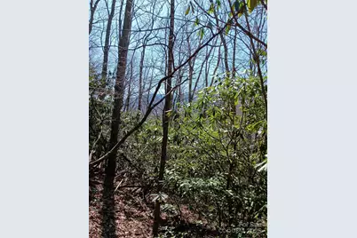 Tbd Clear Creek Road, Burnsville, NC 28714 - Photo 19