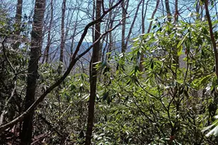 Tbd Clear Creek Rd, Burnsville, NC 28714 - Photo 19