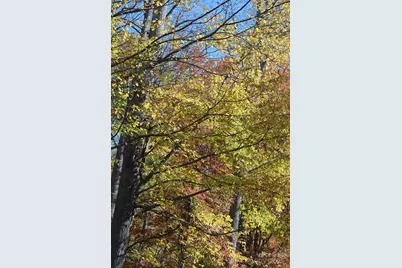 Tbd Clear Creek Road, Burnsville, NC 28714 - Photo 7