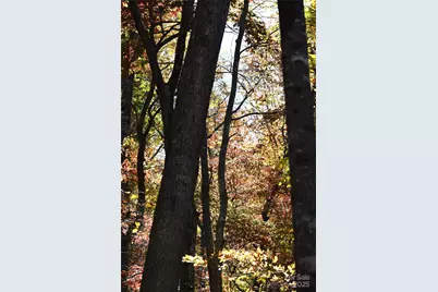 Tbd Clear Creek Road, Burnsville, NC 28714 - Photo 25