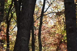 Tbd Clear Creek Rd, Burnsville, NC 28714 - Photo 25