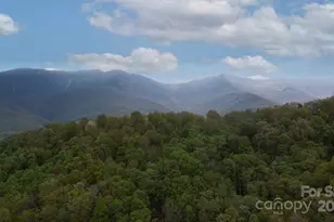 Tbd Clear Creek Rd, Burnsville, NC 28714 - Photo 17