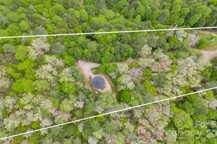 16 Caddis Ct, Marshall, NC 28753 - Photo 37