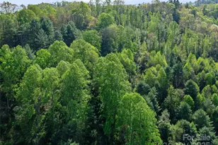 0 Fire Scald Rd, Green Mountain, NC 28740 - Photo 29