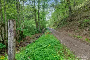 0 Fire Scald Rd, Green Mountain, NC 28740 - Photo 7