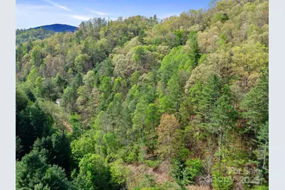 0 Fire Scald Road, Green Mountain, NC 28740 - Photo 25