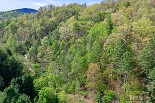 0 Fire Scald Rd, Green Mountain, NC 28740 - Photo 25