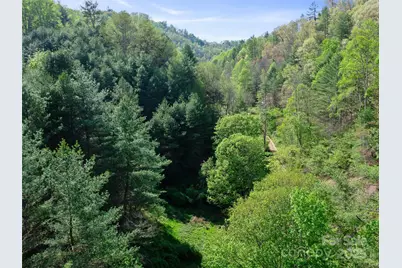0 Fire Scald Road, Green Mountain, NC 28740 - Photo 21