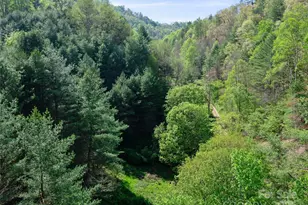 0 Fire Scald Rd, Green Mountain, NC 28740 - Photo 21