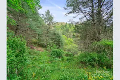 0 Fire Scald Road, Green Mountain, NC 28740 - Photo 17