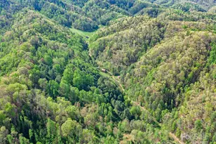 0 Fire Scald Rd, Green Mountain, NC 28740 - Photo 23